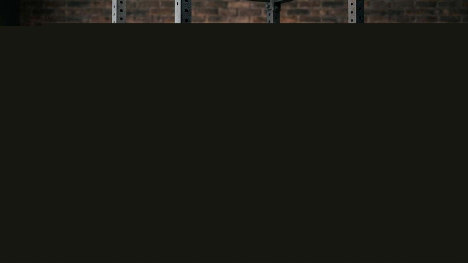 Side-by-side comparison of Rogue and Titan power racks. Reviews build quality (11-gauge steel), accessory ecosystems, resale value, and specific recom